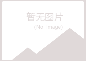 龙山区平庸采矿有限公司